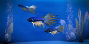 ME3 Illium Skald Fish