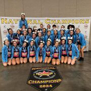 Cheetahs