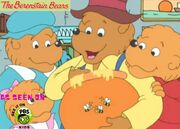 Berenstain Bears Wallpaper