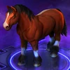Horse Red