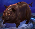 Copper Money Pig