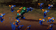 March of the Murlocs