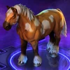 Horse Tan