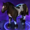 Horse Painted