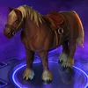 Saddled Horse