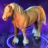 Horse Almond