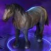 Horse Grey
