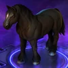 Horse Onyx