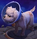 Barko Polo