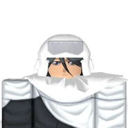 As shown in Inventory