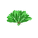 Material Veggies