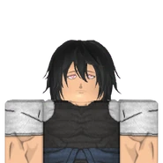 As shown in inventory