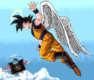 Angel Goku