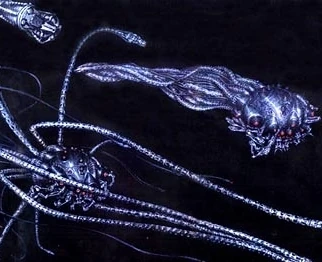 There's a good reason people call them "squiddies