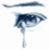 Teardrop.gif