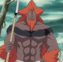 290px-Hozikamru spirit Ep265 9755