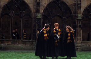 Hpfriendship