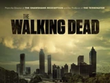 The Walking Dead (TV series)