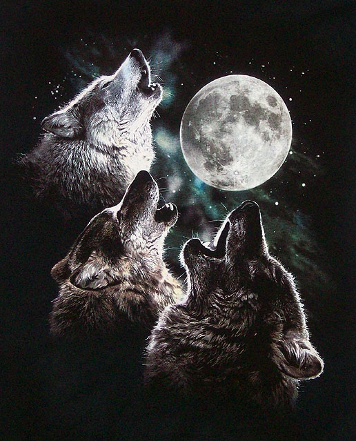 howling wolf with moon