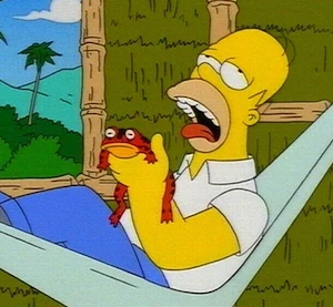 Turn on, tune in, toad out.