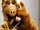 ALF (TV series)