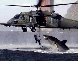 Shark Helicopter