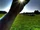 Grasp the Sun