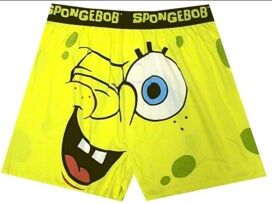 Download Funny Spongebob Underwear Accident Wallpaper