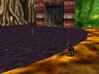 Let's not go for a swim this time...