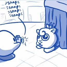 Kirby photographs jigglypuff