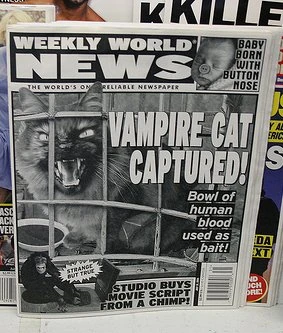  cats.