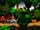 Jungle Japes