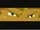 Eyedscreen