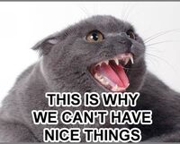 Nice things.jpg