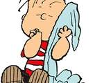 Security Blanket