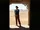 The Searchers