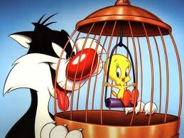 Syl and Tweet, in an all too typical scene.