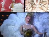 Fluffy Fashion Feathers