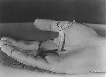 437930904242f8f41517z 991