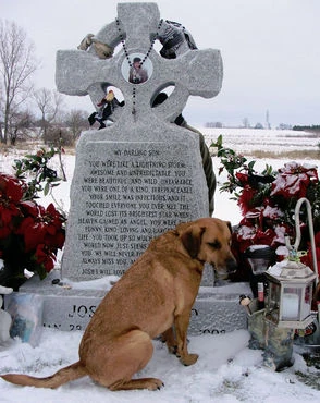 Dog by grave 9698