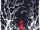 Little Dead Riding Hood