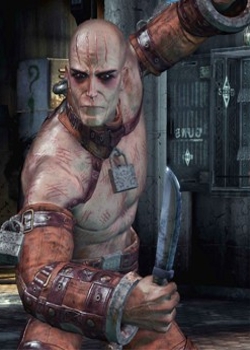 Arkham Victor Zsasz 8836