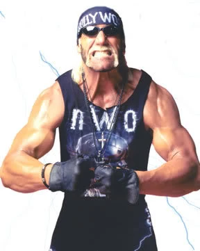 "As far as I'm concerned, all this crap in the ring represents the fans out here