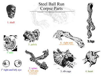 7 corpse parts hidden in different locations across America = the most epic grave-robbing adventure ever.