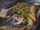 Complete Monster/JoJo's Bizarre Adventure