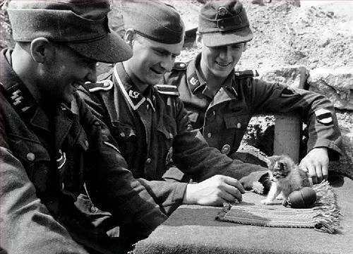 Nazis with kittens 5152