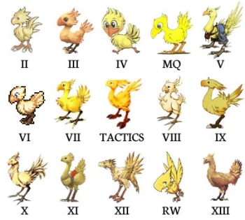 Chocoboes2 5446