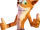 Crash Bandicoot/Characters
