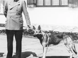 Hitler Ate Sugar