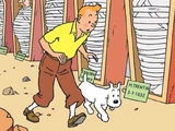 Tintin